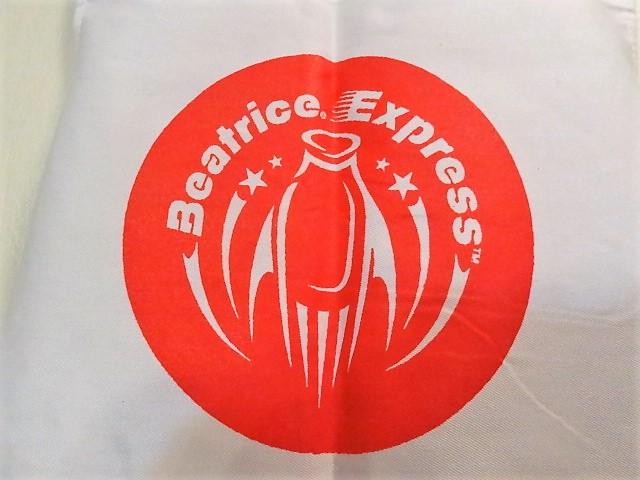BEATRICE MILK FULL APRON display photo