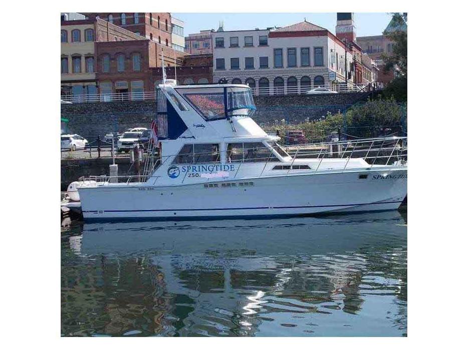 Uniflite 42 Convertible Express Cruiser For Sale - Springtide I display photo