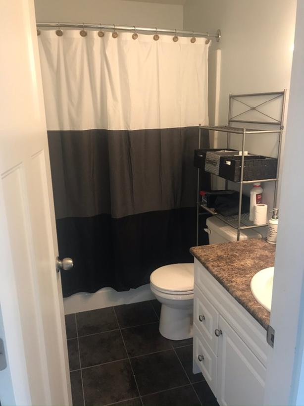 Carriage  House for Rent in Shawnigan Lake - April 15th. image 7