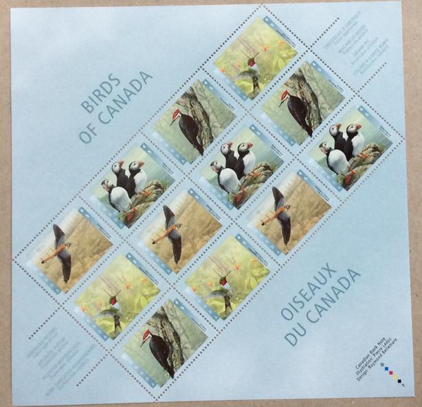 CANADA BIRDS OF CANADA SHEET ISSUED 1996 image 1