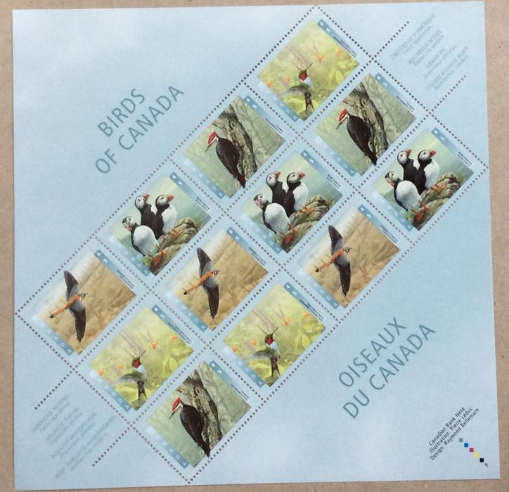 CANADA BIRDS OF CANADA SHEET ISSUED 1996 display photo