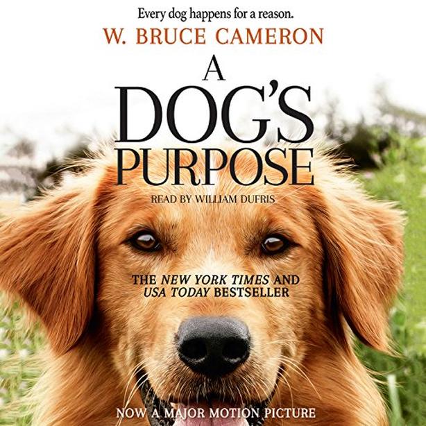 A DOG'S PURPOSE DVD image 1