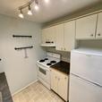 Mayfair -  2 Bedroom apartment for rent - Available September 1st thumbnail image 4