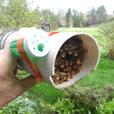 Mason Bees and PHRAGMITES natural reed grass tubes for Culturing thumbnail image 4