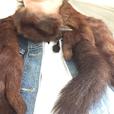 Vintage 4 Mink Stole with head  and tails 1930's or 40's thumbnail image 8