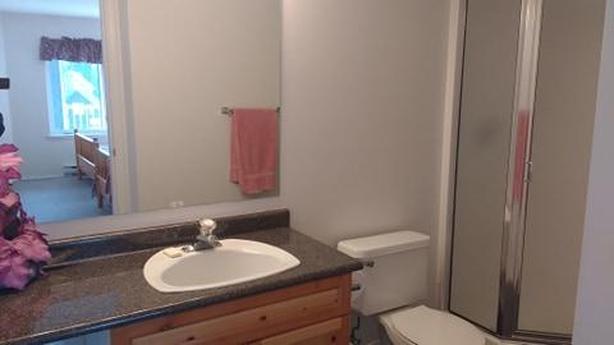 Mt Washington Condo for rent September - December image 7