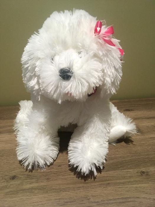 VICTORIA'S SECRET PUPPY display photo